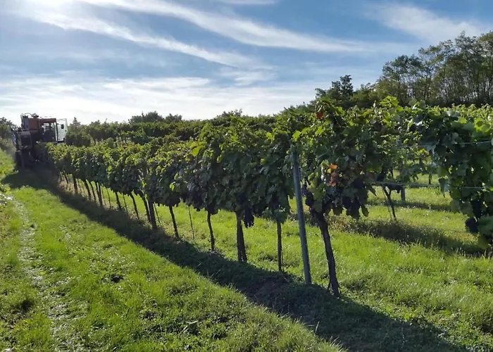 Holiday Home Kuessler By Interhome Grub an der March photo