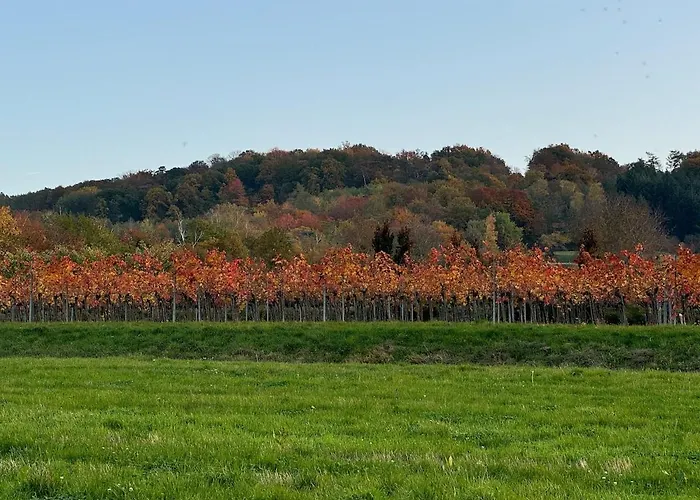 Small Apartment Freundorf photo