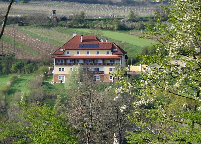 Pension Rudi - Weingut Kellner Hotel Pulkau photo