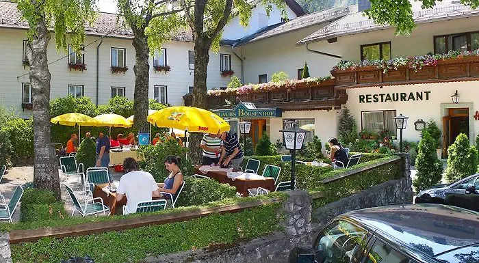 Borsenhof Hornung Hotel Miesenbach  photo